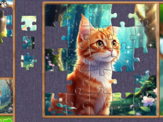 Fragments of Wonder